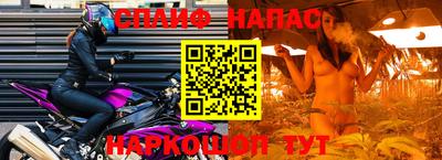 стаф Апшеронск