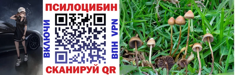 Псилоцибиновые грибы Magic Shrooms  Видное 