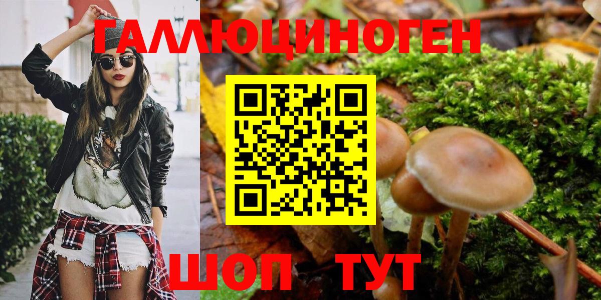 Видное  Псилоцибиновые грибы Psilocybe  Вход с VPN 