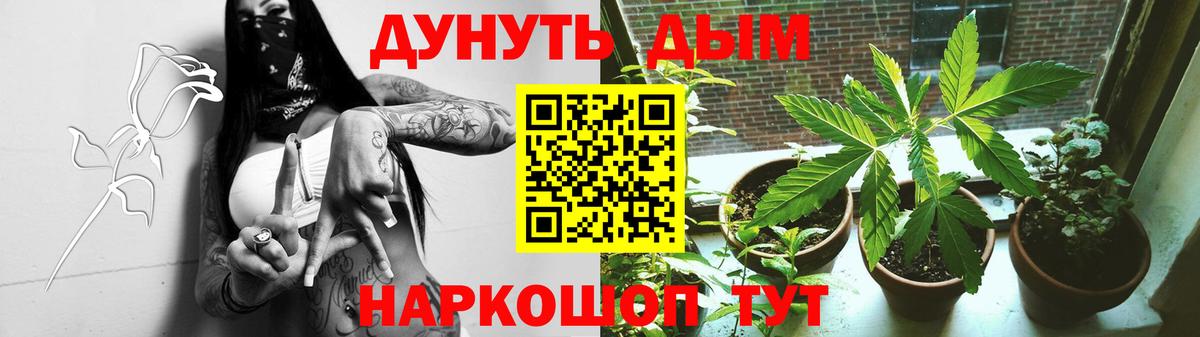 Конопля ГИДРОПОН  Каннабис Amnesia  Видное 